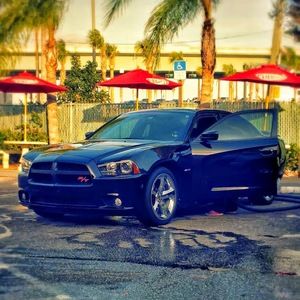 Meet your Posher, Wayne